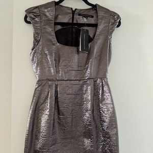 French Connection Princess Helen Cap Silver Dress